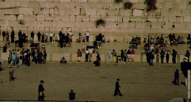 The Western Wall - (men to the left, women to the right)  (c)