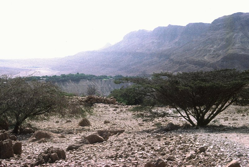 The wilderness - where the scapegoat was released