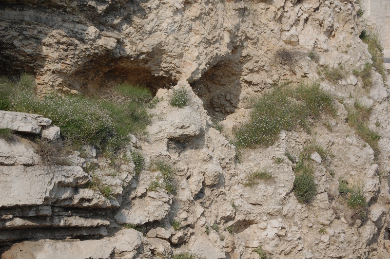 Golgotha (?) hill of the skull - Jerusalem