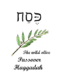 A Haggadah - the book for celebrating your passover