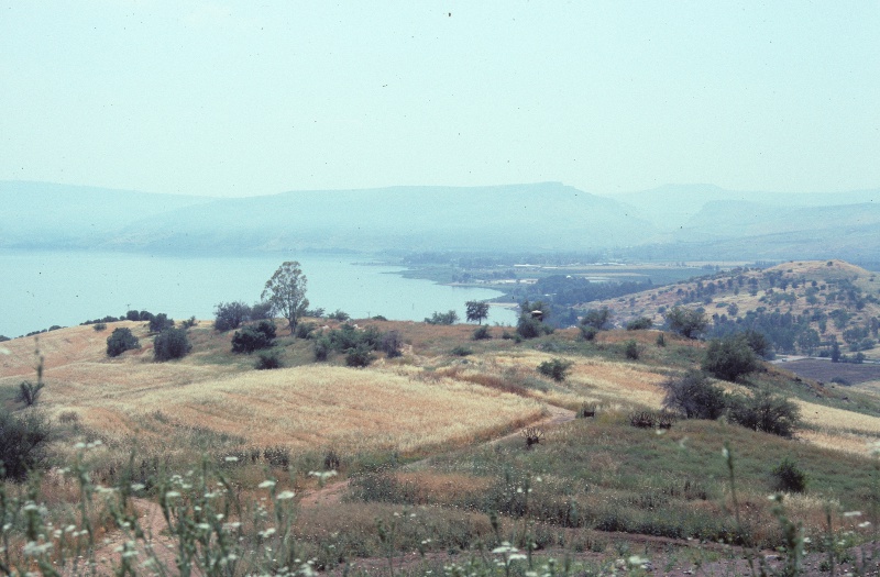 Kinneret (Sea of Galilee) from the Mount of Beatitudes