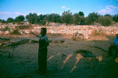 Threshing floor 
