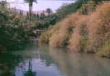 Gan HaShalosh  -   Vale of Jezreel  -  Israel