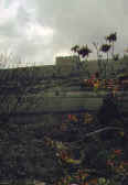 Jerusalem's Golden Gate from the Kidron Valley