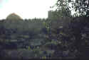 Walls of Jerusalem from Gethsemane